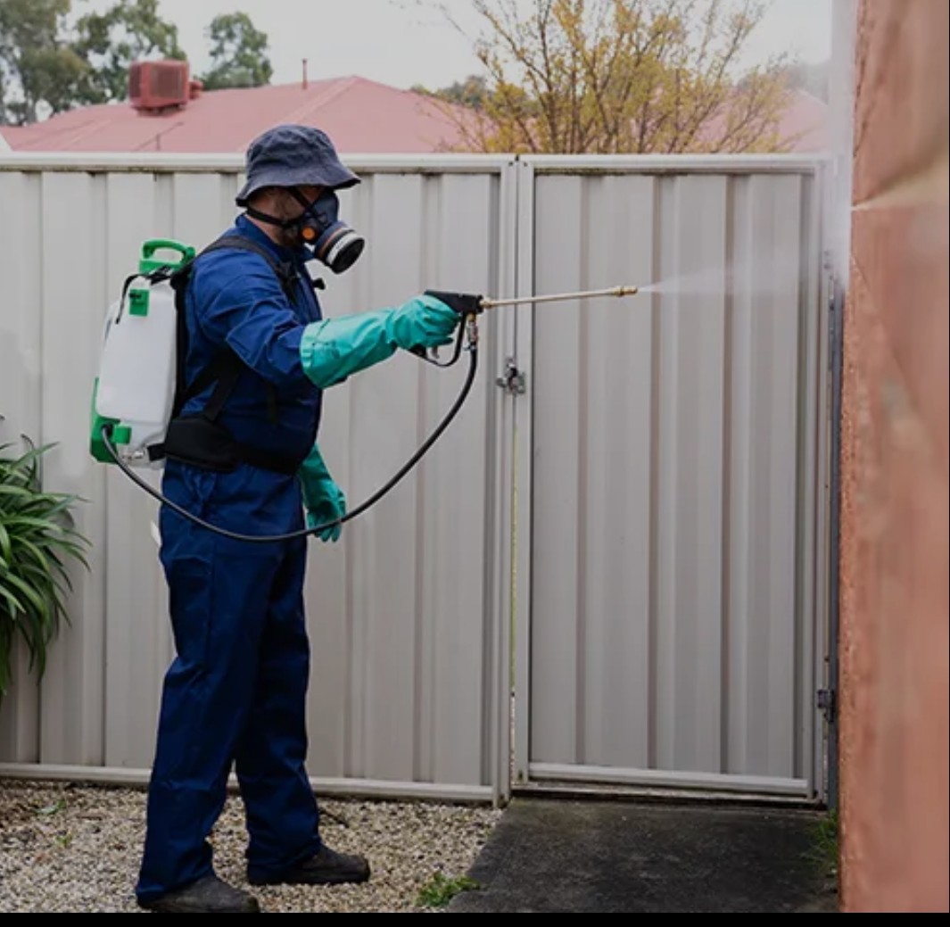 safe circle pest control