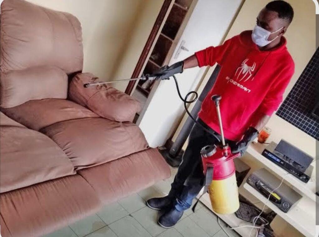 The Importance of Pest Control Services in Alappuzha